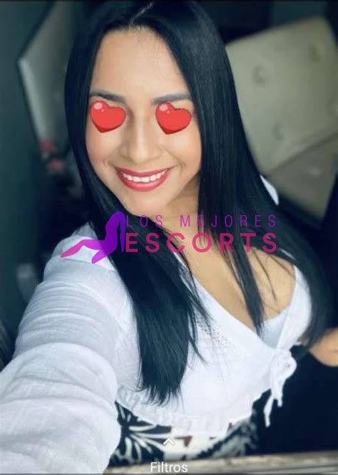 escor en chillan|Escorts y Putas en Chillán